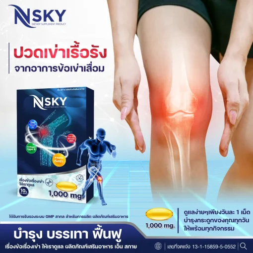 Nsky เอ็นสกาย โน๊ต บำรุงข้อเข่า ลด ปวดข้อ ปวดเข่า ปวดหลัง ปวดคอบ่าไหล่