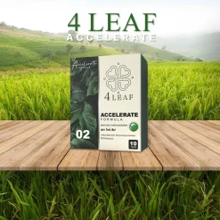 โฟร์ลีฟ 4LEAF สูตร2 ปุ๋ยชีวภาพเร่งโต ฟื้นต้นโทรม ใบเขียวไว สำหรับพืชทุกชนิด เพิ่มผลผลิตสูงสุด