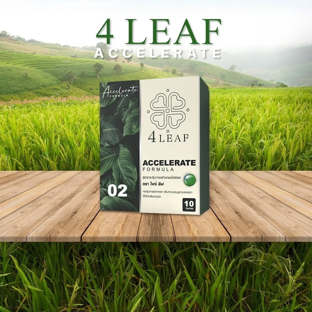 โฟร์ลีฟ 4LEAF สูตร2 ปุ๋ยชีวภาพเร่งโต ฟื้นต้นโทรม ใบเขียวไว สำหรับพืชทุกชนิด เพิ่มผลผลิตสูงสุด